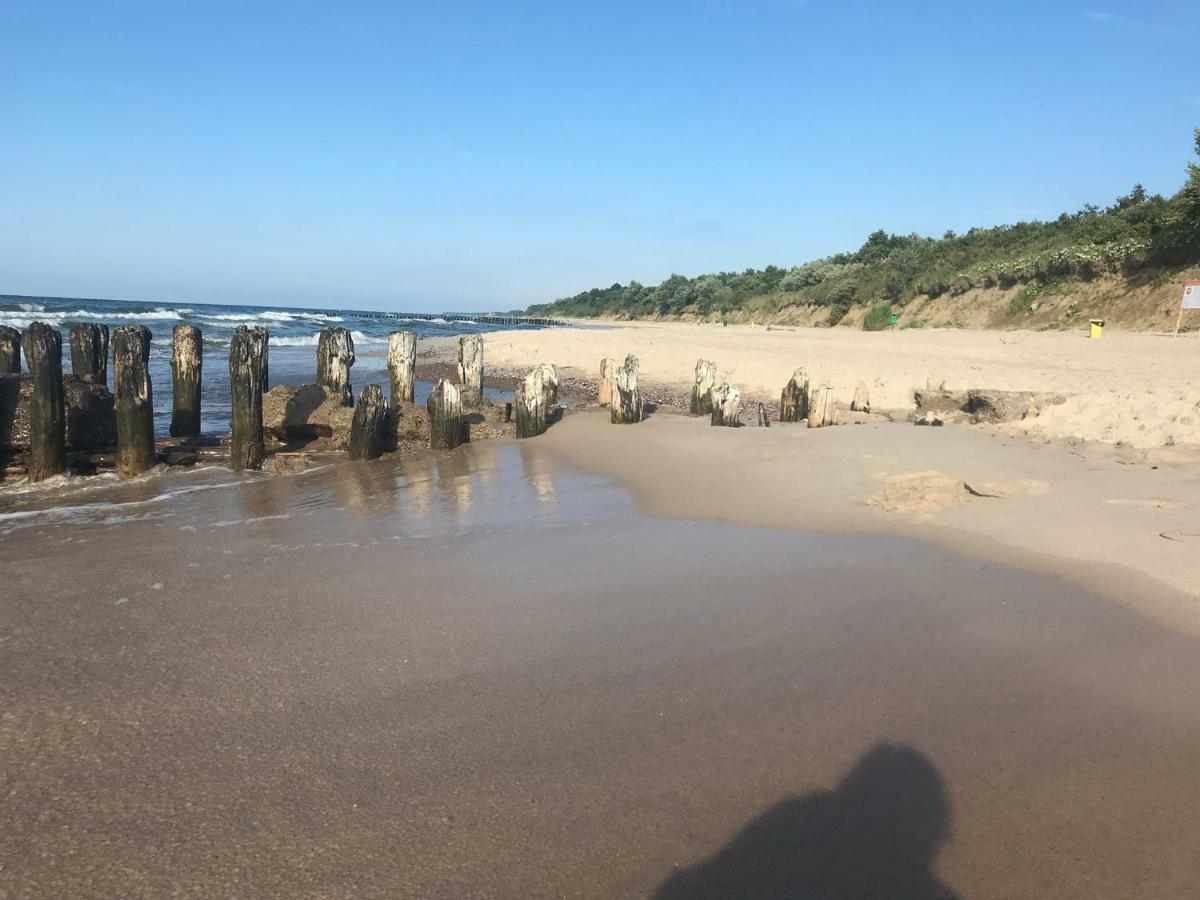Holenderski Feniks Kolobrzeg
